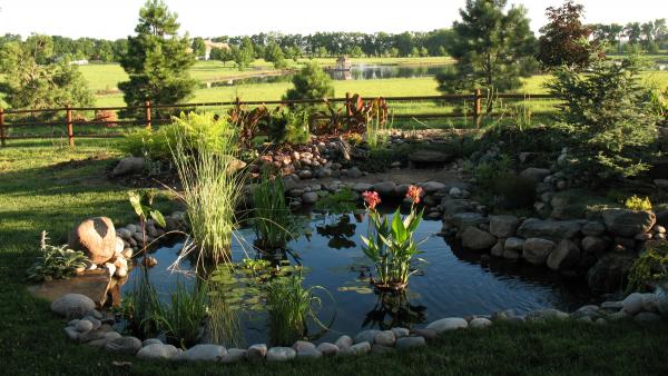 Water Garden